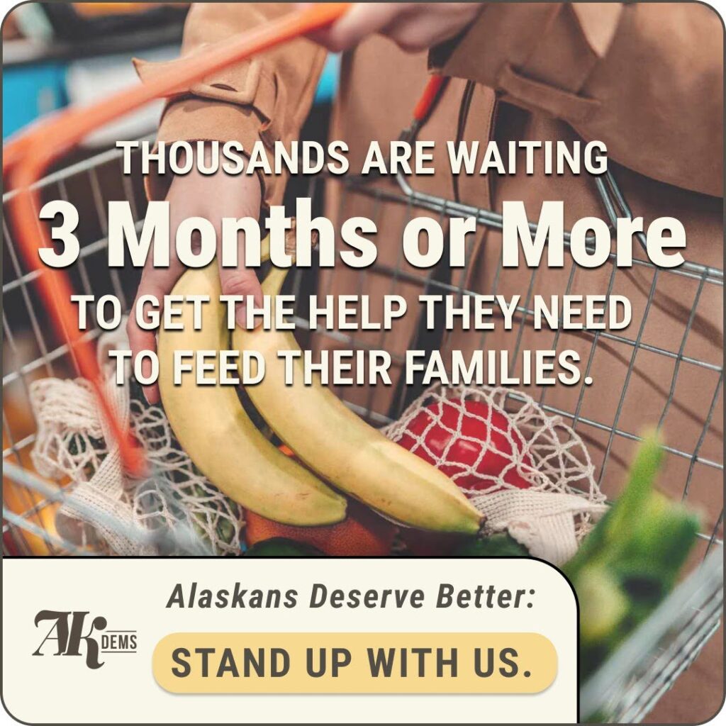 Bold message urging support: 'Thousands are waiting 3 Months or More to get the help they need to feed their families,' over a shopping cart background; bottom banner reads 'Alaskans Deserve Better: Stand Up With Us.'
