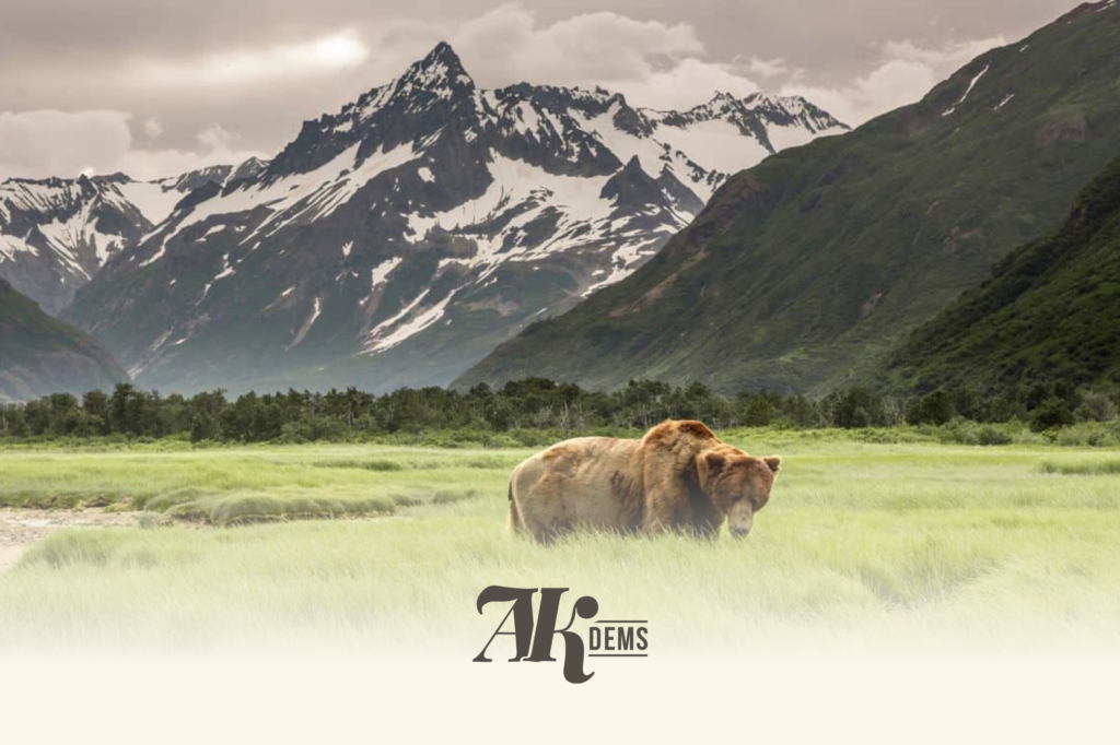 Cow grazing in a green field with snow-capped mountains in the background and a logo at the bottom edge.