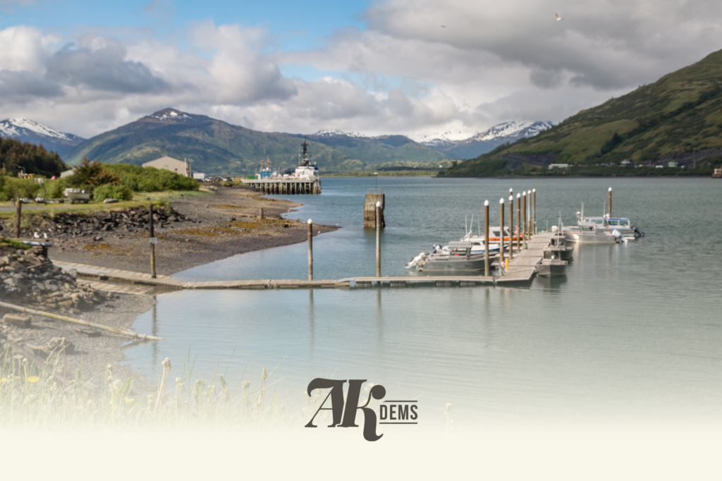 Marina on calm water with boats at wooden docks and snow-capped mountains in the distance under a cloudy sky.