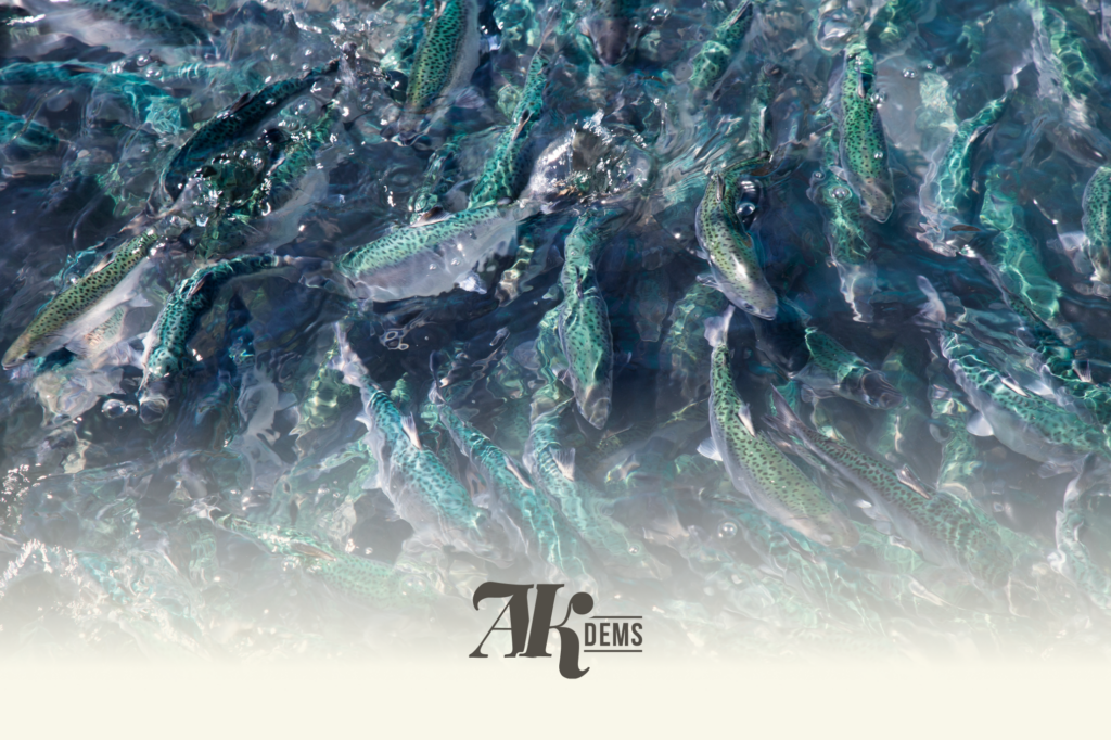School of spotted greenish fish swimming in clear blue-green water, with light reflections on the surface.