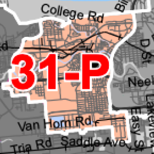 Peach-colored district labeled 31-P on a street map with white boundary lines and surrounding street names like College Rd and Van Horn Rd.